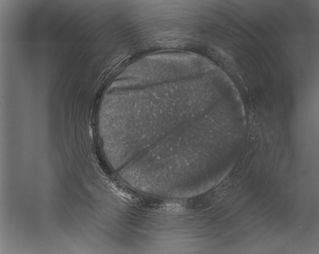 X0000060220114200511241250