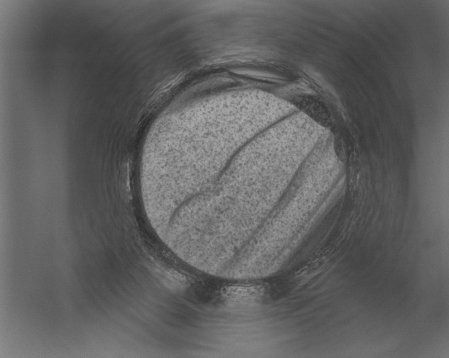 X0000060220115200511241250