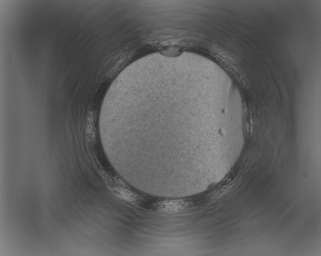 X0000060220121200511241250