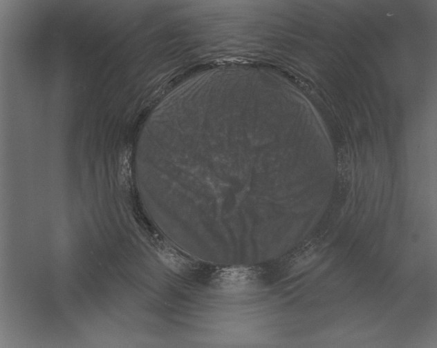 X0000060220127200511241250