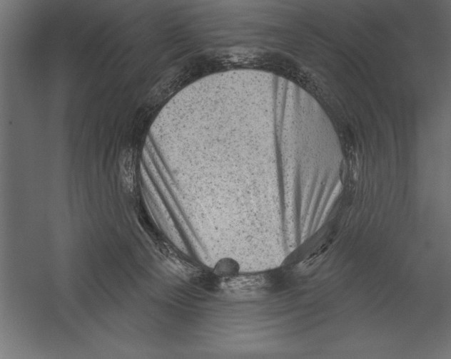 X0000060220129200511241250