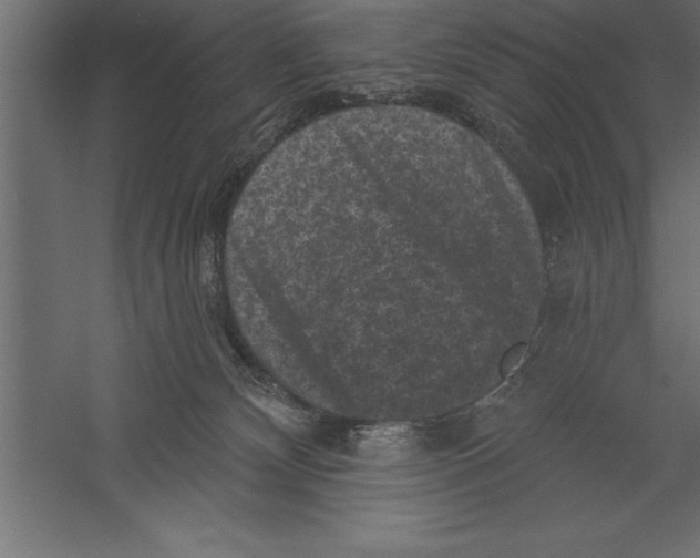 X0000060220132200511241250