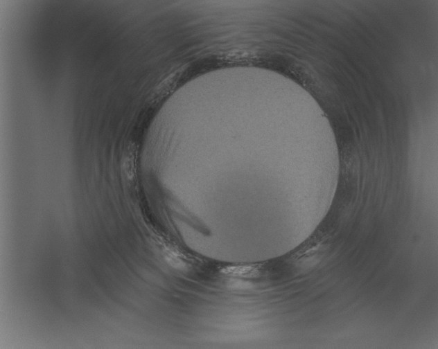 X0000060220133200511241249