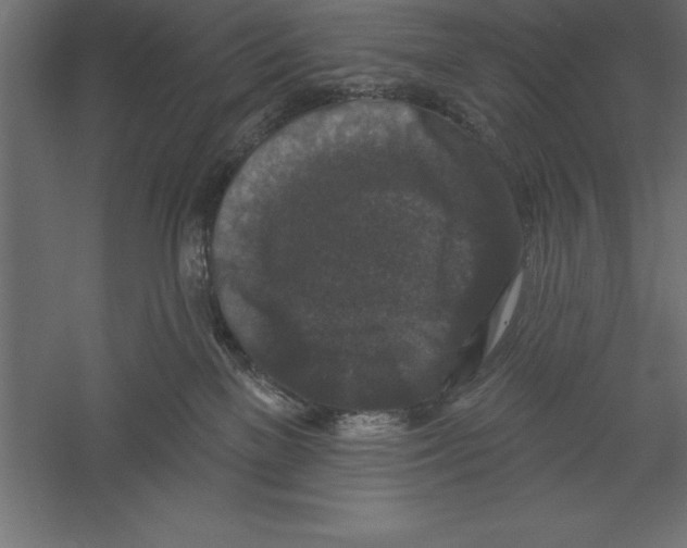 X0000060220137200511241249