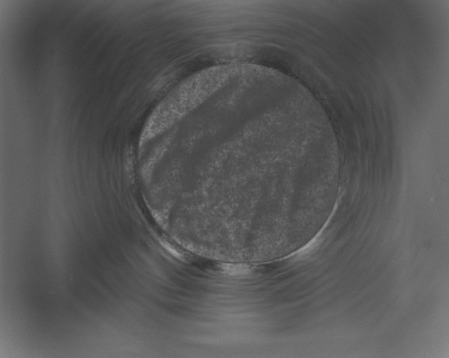 X0000060220144200511241249