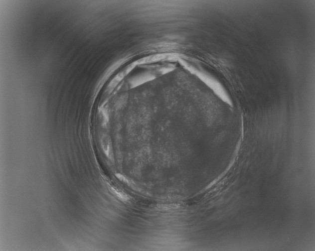 X0000060220147200511241248