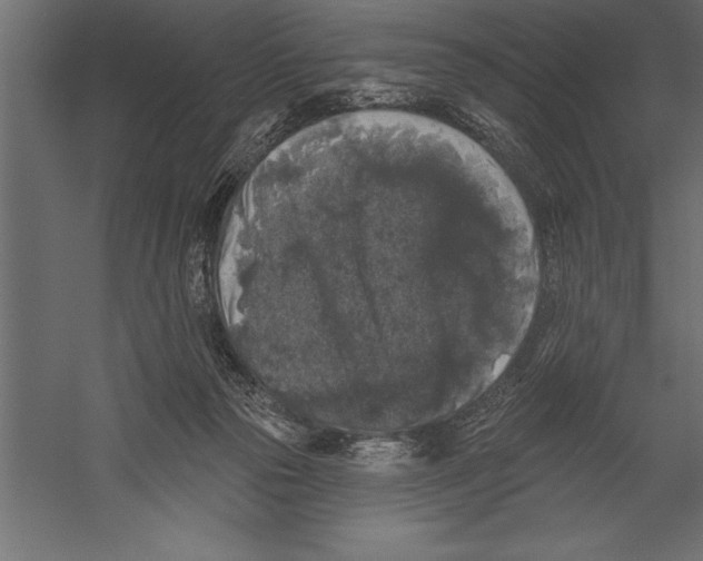 X0000060220169200511241249