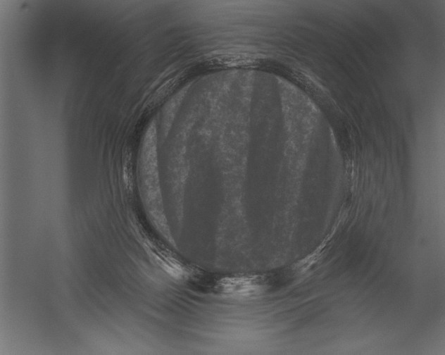 X0000060220170200511241249