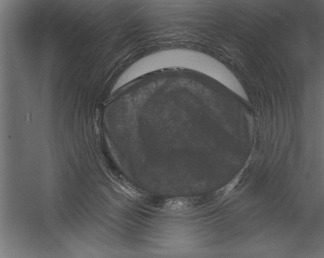 X0000060220174200511241249