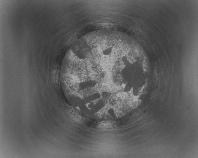 X0000060220177200511241249