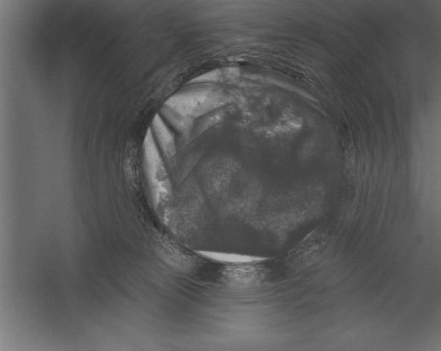 X0000060220181200511241249
