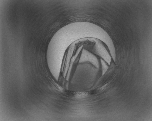 X0000060220185200511241249