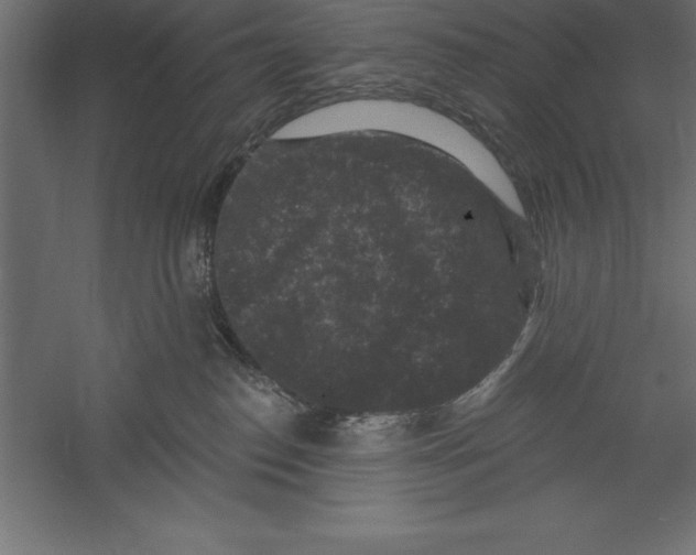 X0000060220186200511241249