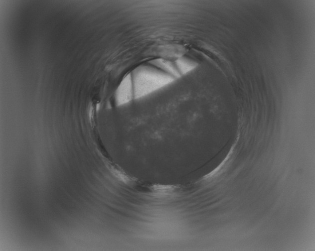 X0000060220192200511241249