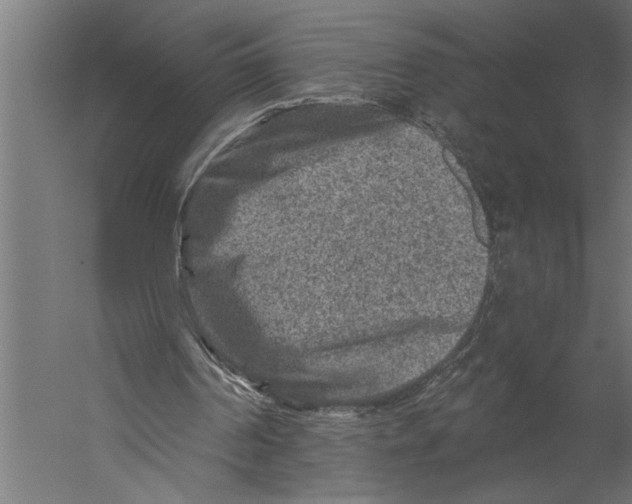 X0000060220194200511241248