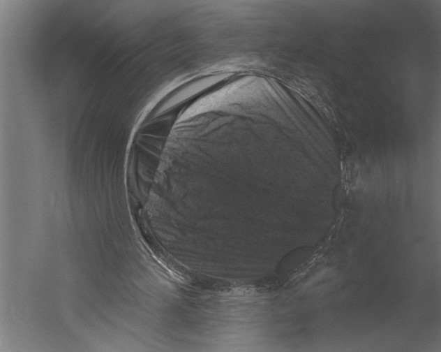 X0000060220196200511241248