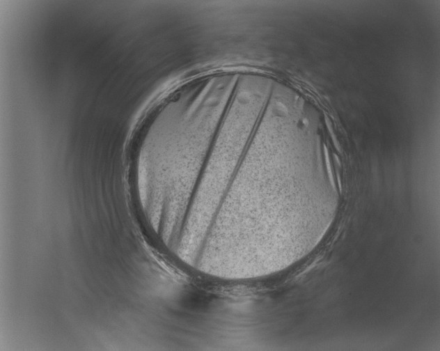 X0000060220197200511241248