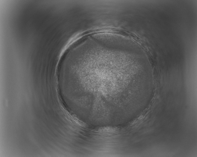X0000060220198200511241248