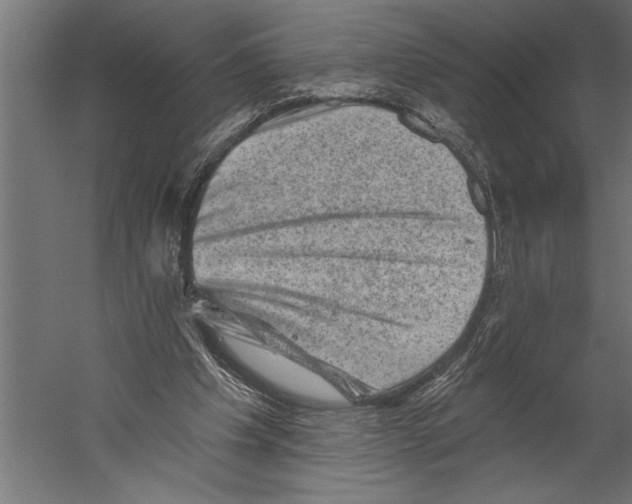 X0000060220201200511241248