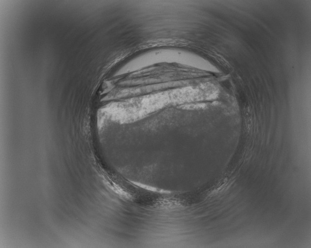 X0000060220207200511241248