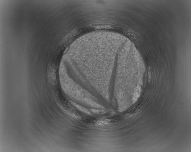 X0000060220215200511241248