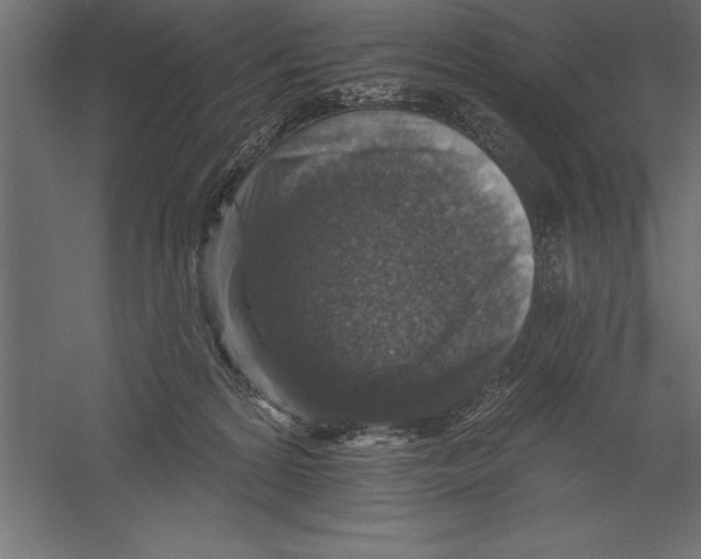 X0000060220224200511241248