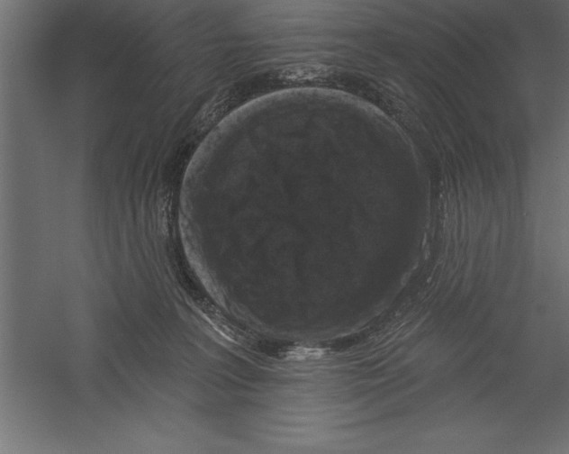 X0000060220227200511241248