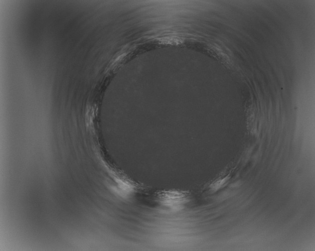 X0000060220229200511241248