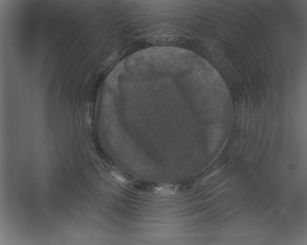 X0000060220232200511241248