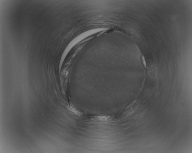 X0000060220233200511241248