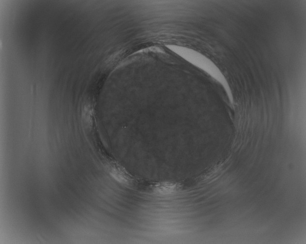 X0000060220235200511241248