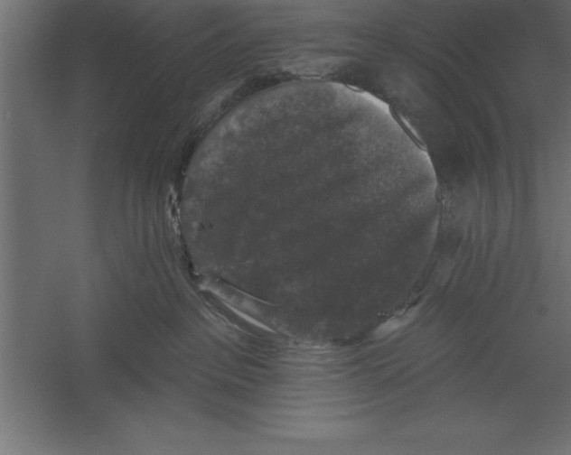X0000060220237200511241248