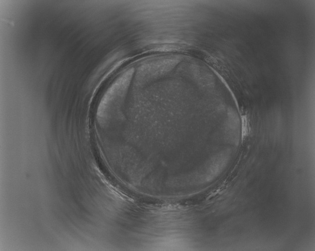 X0000060220243200511241247
