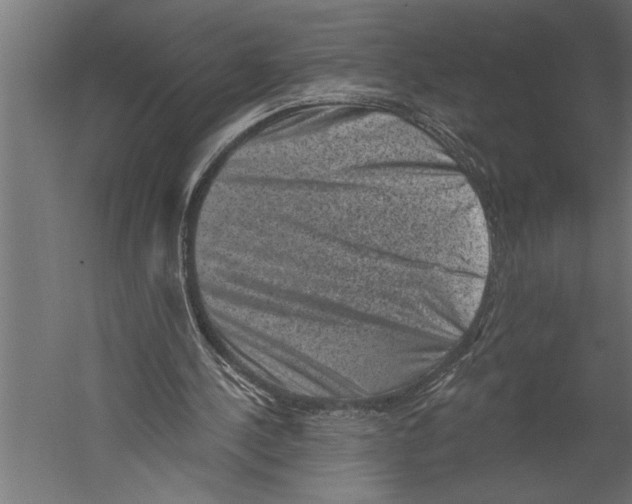 X0000060220244200511241247