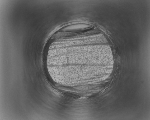 X0000060220248200511241247