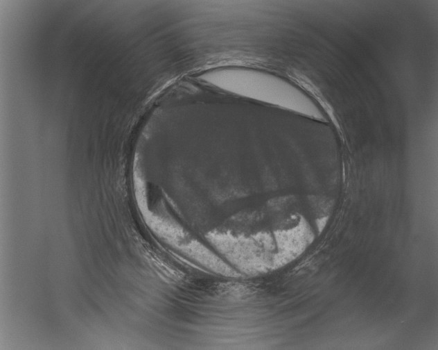 X0000060220249200511241247