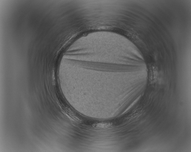 X0000060220251200511241247