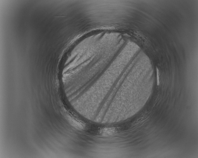 X0000060220252200511241247