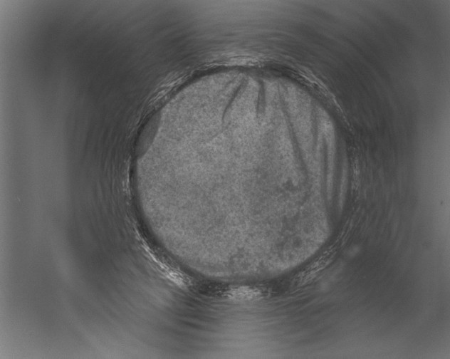 X0000060220257200511241247