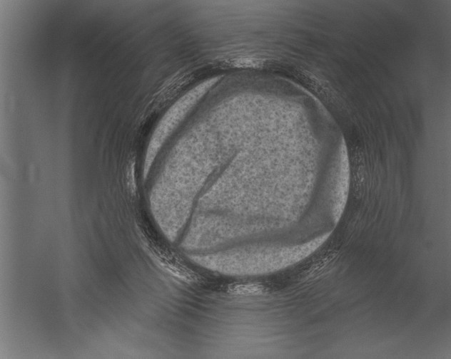X0000060220262200511241247