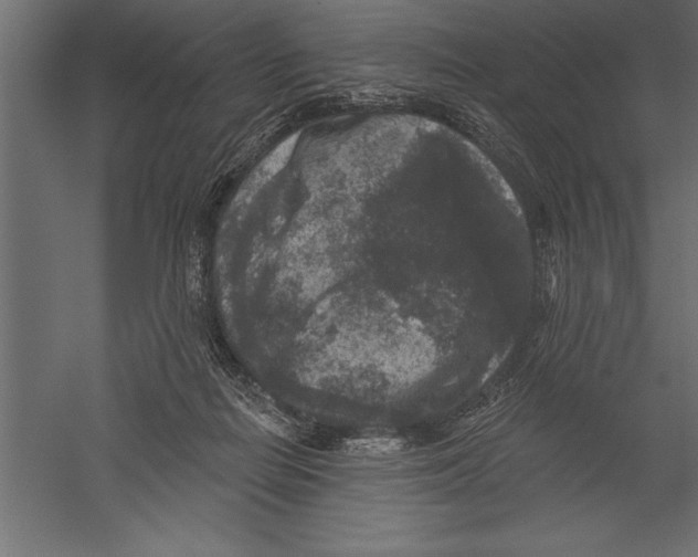 X0000060220266200511241247