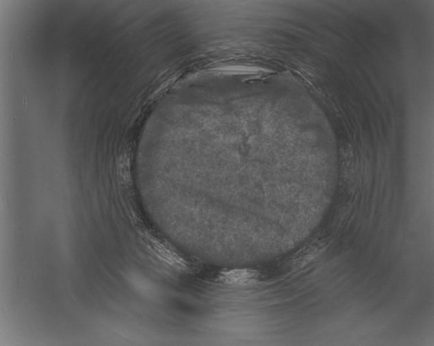 X0000060220269200511241247