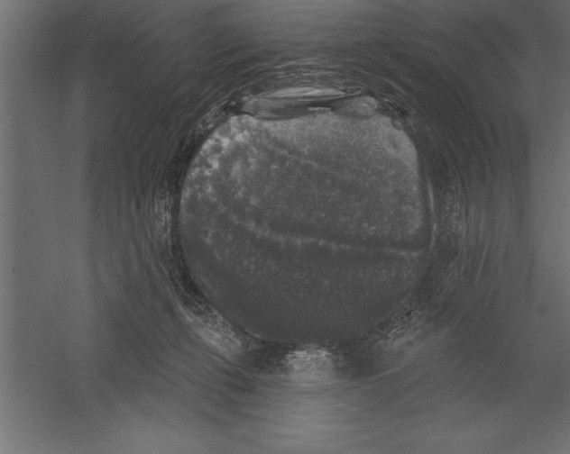 X0000060220271200511241247
