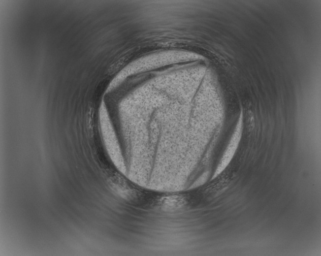 X0000060220275200511241247