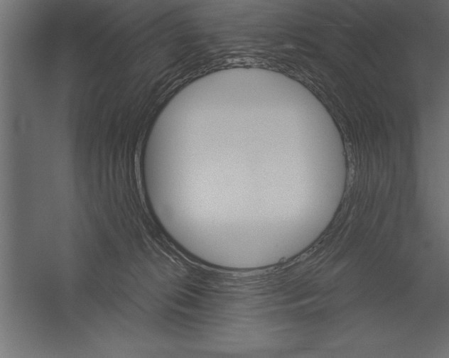 X0000060220276200511241247