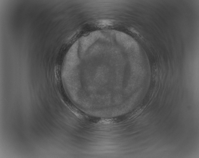 X0000060220280200511241247