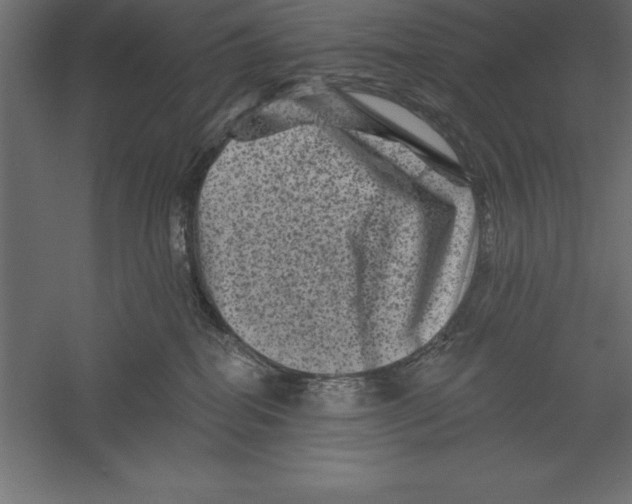 X0000060220282200511241247
