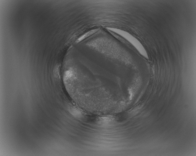 X0000060220286200511241248