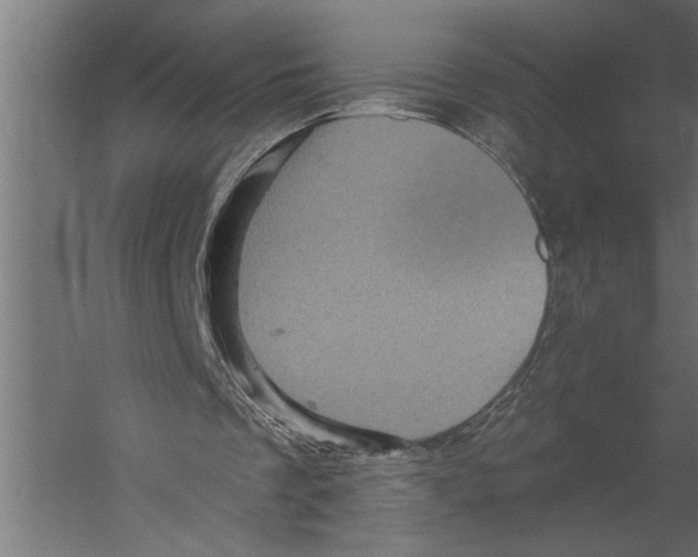 X0000060220289200511241247