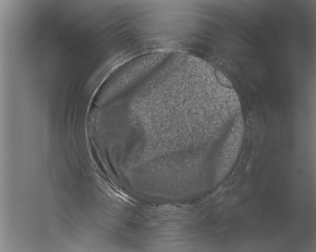 X0000060220290200511241247